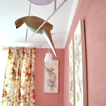 Boutique Amalia בית הארחה