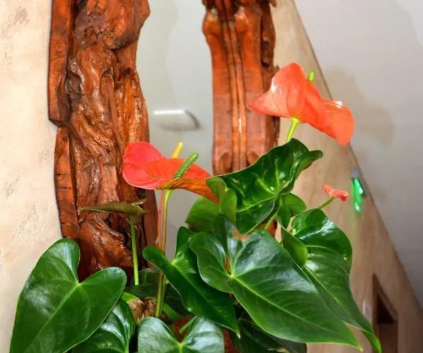 招待所 Boutique Amalia 3*