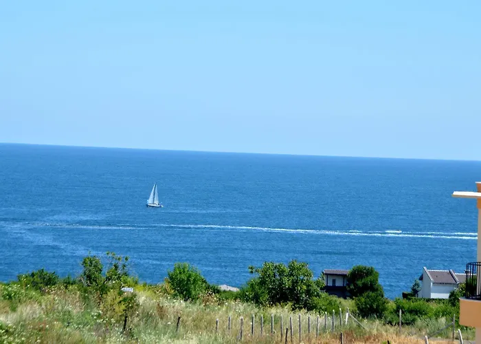 Boutique Amalia 招待所