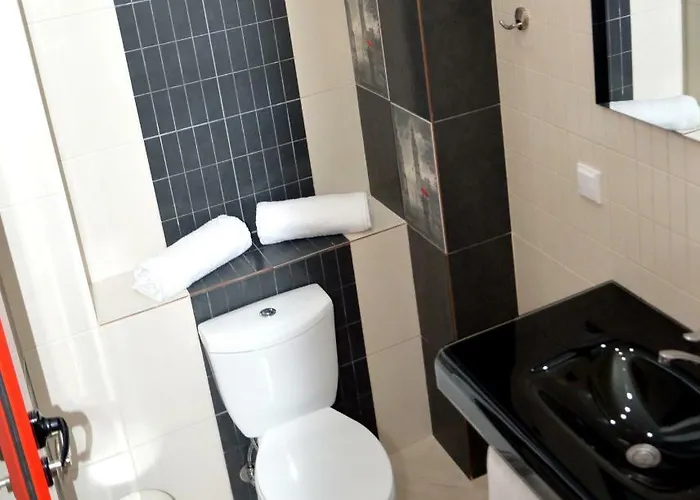 Boutique Amalia 招待所 切尔诺莫雷茨