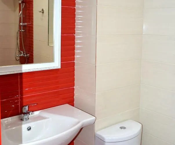 Boutique Amalia 3* 切尔诺莫雷茨