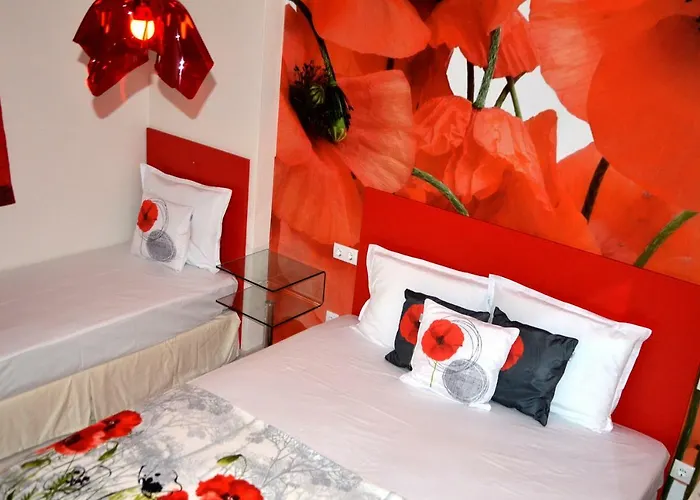 Boutique Amalia 3* 切尔诺莫雷茨