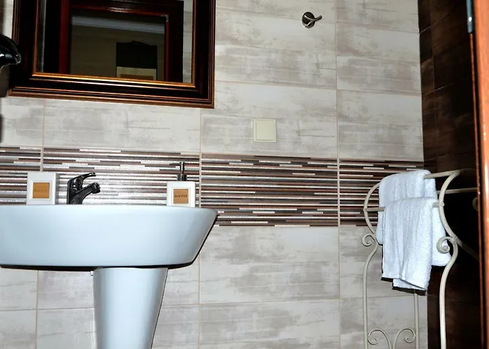 Boutique Amalia 招待所 切尔诺莫雷茨